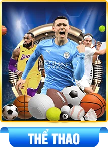 banner-the-thao-llwin